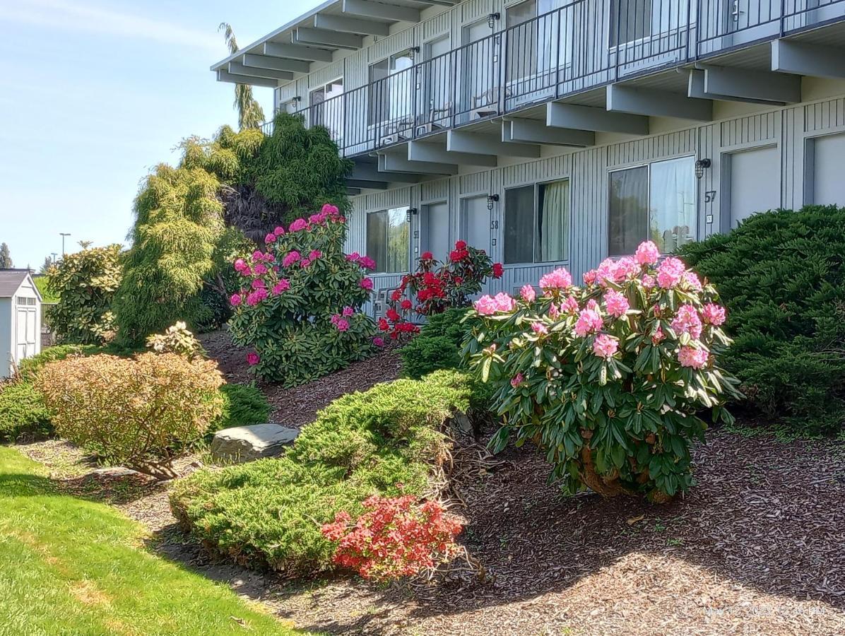 Cocusa Motel Burlington Kültér fotó