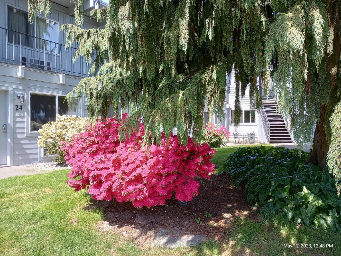 Cocusa Motel Burlington Kültér fotó